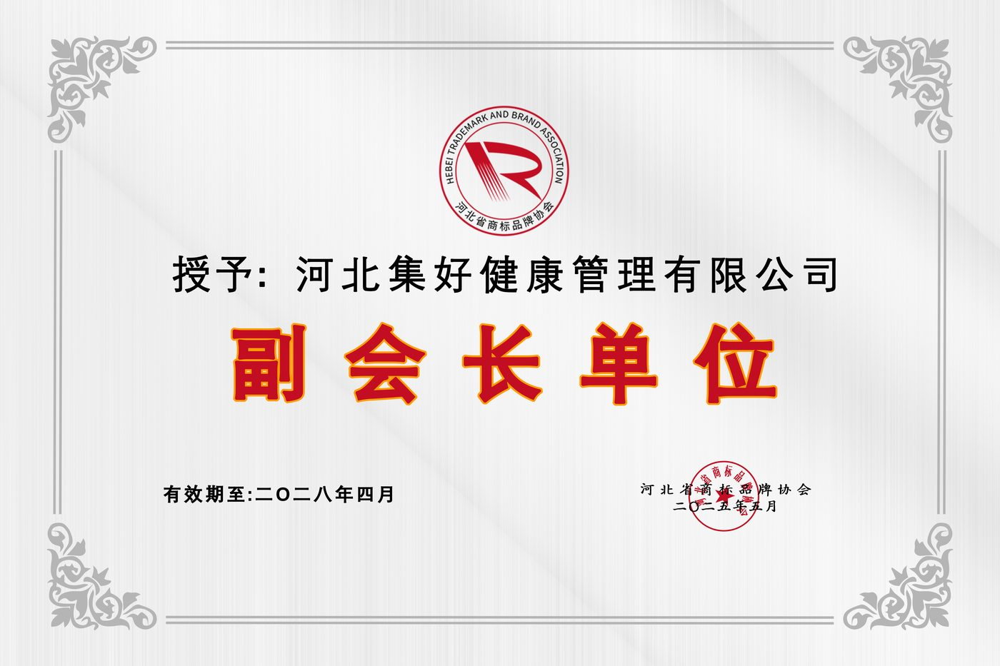 副会长单位